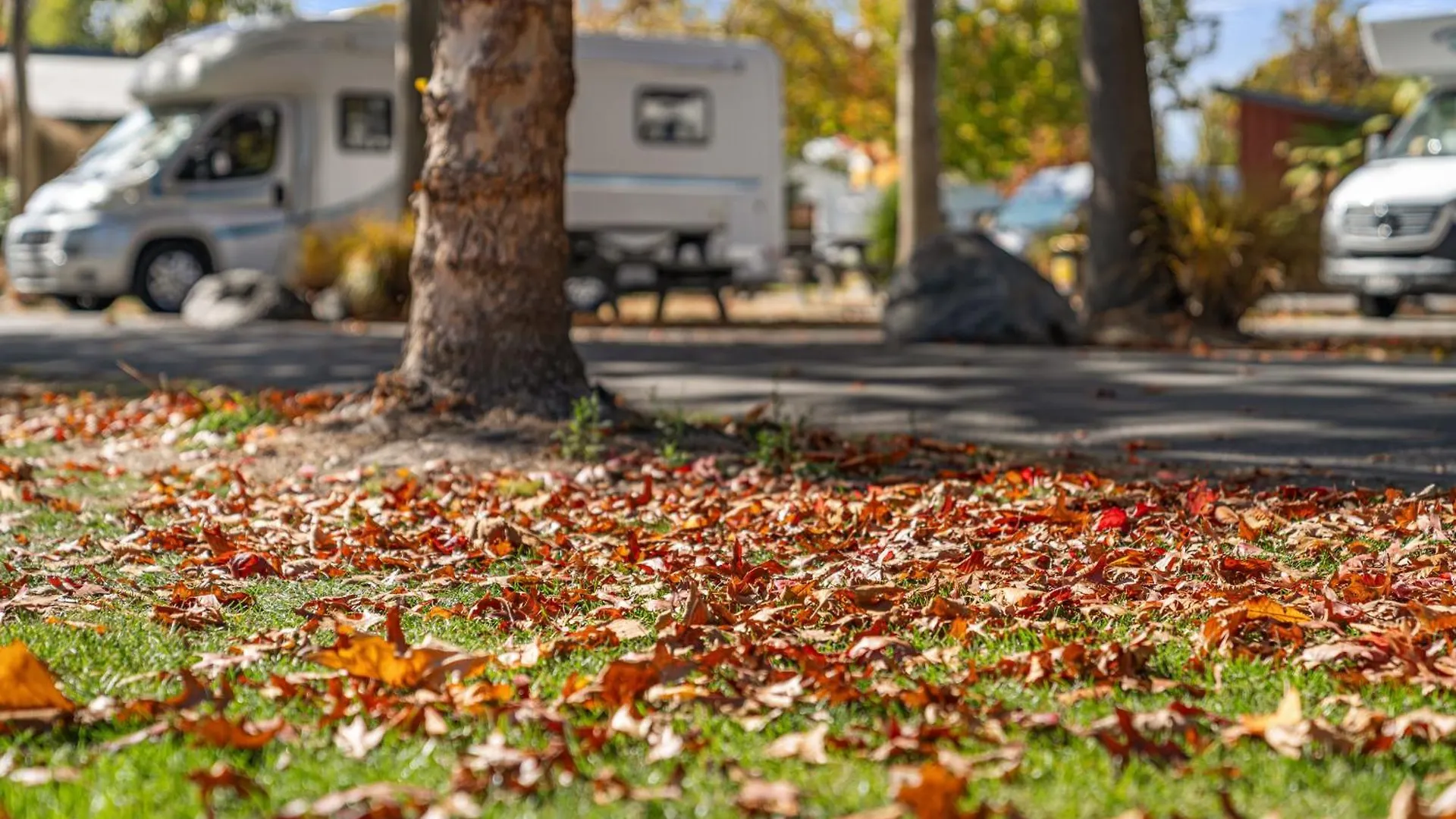 Tasman Holiday Parks - Christchurch